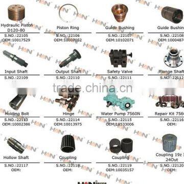SCHWING Water Pump 7560N OEM 18533006 for Putzmeister Zoomlion Concrete Pump Spare Parts Sany Cifa Junjin Ihi photo-6