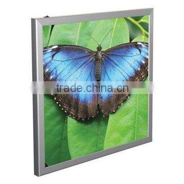 LED Singleside Light Box (LB-C-42)