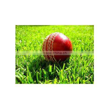 Good Quality Red Hand Stitched Genuine Leather Cricket Ball / Australian Cricket ball / PVC cricket ball / Windball cricket ball