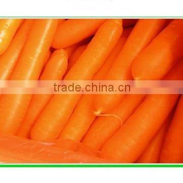 2014 Crop Chinese Wholesale Fresh Carrot - Lowest Price with High Quality