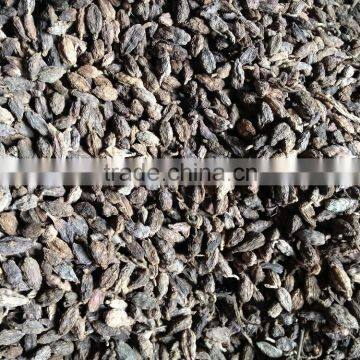 Black Cardamom Wholesale photo-3