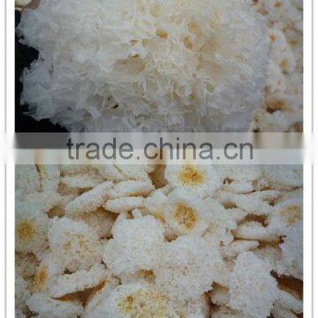 Dried silver ear/snow white fungus