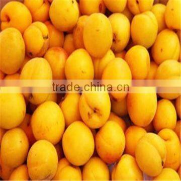 Automatic Jujube/Dates Pitter for Sale, Dates Pitting Machine photo-5