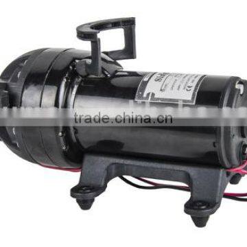 water pump garden decoration/12v dc high pressure water pumpwater pump in nepal