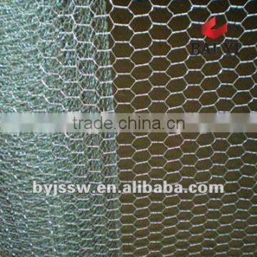 Small Hole Hexagonal Wire Netting