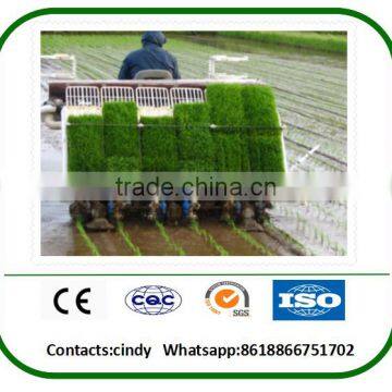 hot sale agriculatural machine rice planter machine for sale