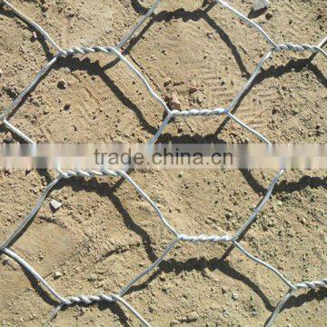 Galvanized Hexagonal Wire Netting