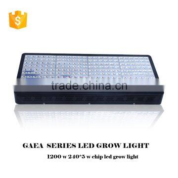 China 5W Chip 1200w Led Grow Light photo-4