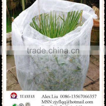 Non Woven Frost Prevention Antifreeze Membrane Protect the Safety of Plants for the Winter photo-4