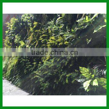 FO-GW018 Outdoor Green Plant Wall for Decor photo-4