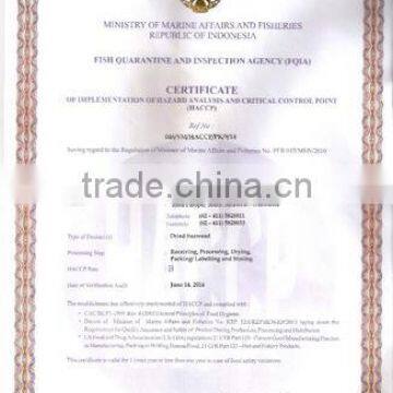 Gracilaria, Euchema Spinosum And Cottoni Seaweeds photo-6