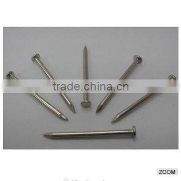 Galvanized Roofing Nails With Umbreall Head photo-5