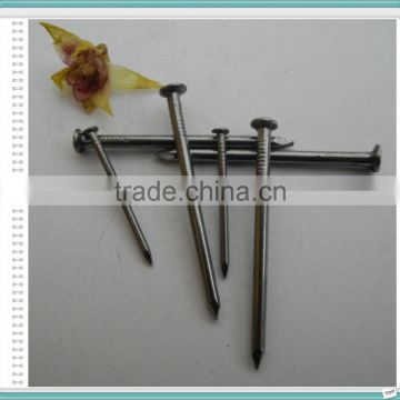 dubai wire nails/common wire nails/linyi nail factory