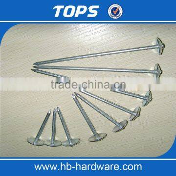 Smooth Shank Galvanized Roofing Nails/gal Roofing Nails photo-5