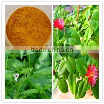 Andrographis Extract