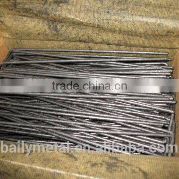 Plastic Ground Sod Staples/ Landscape Edging Pin/galvanized Stainless Steel Sod Nail photo-4
