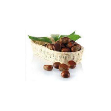 Chinese Chestnut photo-3