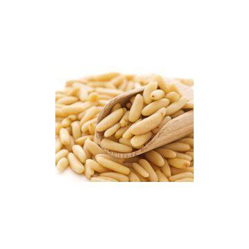 Natural pine nut kernels