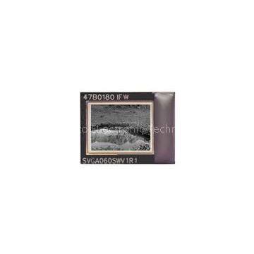 new product 1 Inch TFT LCD LED Module 