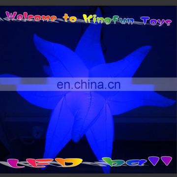 eyecatching color changing led inflatable stars