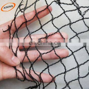 HDPE plastic netting to catch bird export Philippines