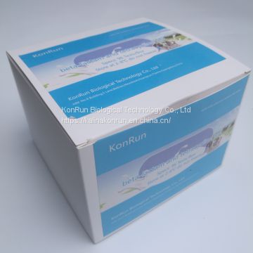 Milk Antibiotics Test  Beta-lactam and Tetracycline Milk Test Kit