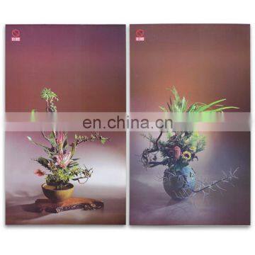 Decorative Picture Ceramic Electric Panel Ray Wall Heater photo-4