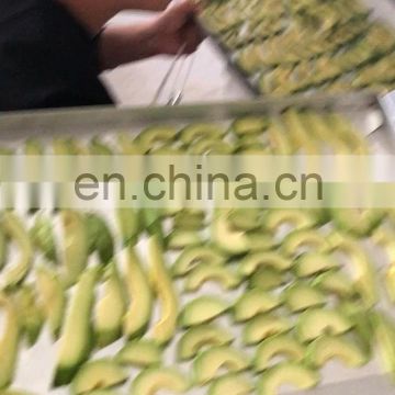 environmental dried avocado Machine Vacuum fruit freeze dryer