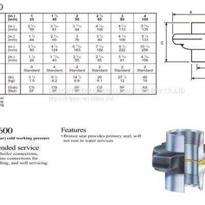 Fig 600 Hammer Union