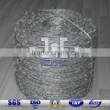 Galvanized Steel Barbed Wire for Fence