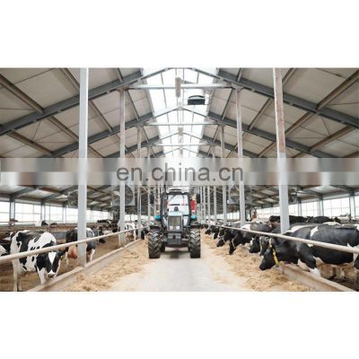 Qingdao modern design steel structure cow cattle dairy milking farm shed building