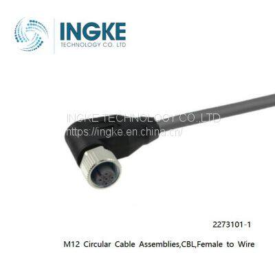 2273101-1,M12 Circular Cable Assemblies,CBL,Female to Wire,5Position,INGKE