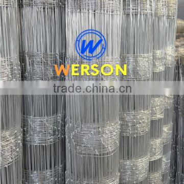 hot dipped galvanized Hog Wires | werson fence