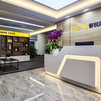 PLERY Network Technology Co., Ltd company overview - view 1