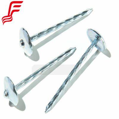 2.5inch 3inch 3.5inch Roofing Umbrella Nails Cap Nails Box Umbrella Zinc Roof Nails With Washer Bolivia Brazil Chile Market photo-4