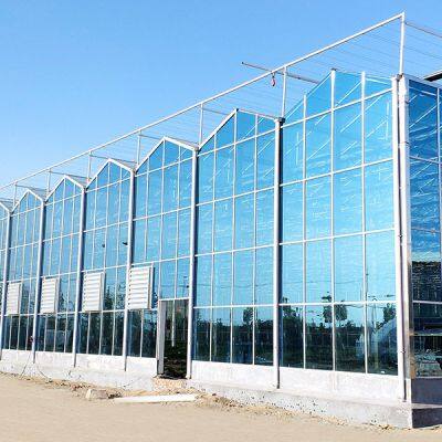 Low-Iron Greenhouse Glass With 91% Light Transmission for Commercial Greenhouses