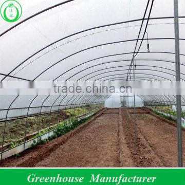 Low Cost Greenhouse With Side Ventilation