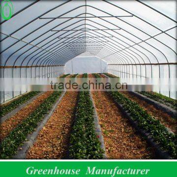 Popular Vegetable Tunnel Greenhouse