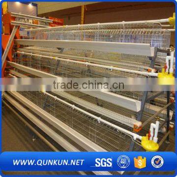 Commercial Chicken House Sale for Layers photo-4