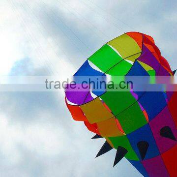 16m Spinner Kite