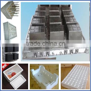 EPS foam tool/polystyrene foam mould for EPS packing box