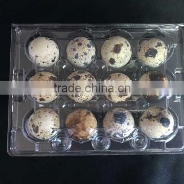 Wholesale disposable 12 quail egg palstic tray