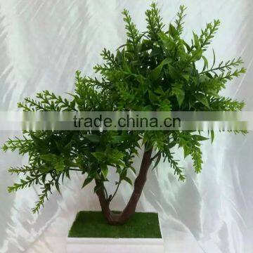 Made in China Mini Home Decoration Plant With Pot for Sale photo-6
