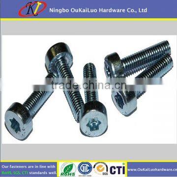 Stainless Steel Torx socket head cap screw