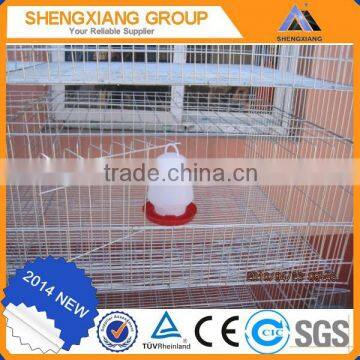 layer chicken cage