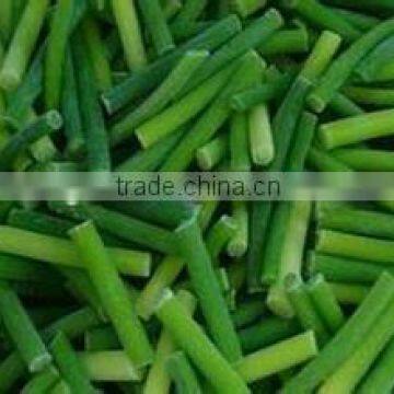 Supplying IQF Garlic sprout with good qality for sale