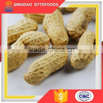 Agricultural Health Snack Food Roasted And Salted Peanuts High Demand Dry Roasted Peanuts/Red Skin Peanut Kernels