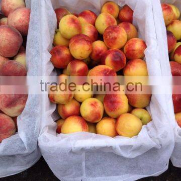 Buy high-quality goods nectarine