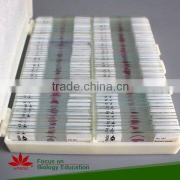 Fixed Set 100 Pieces for Higher Medical Educational Histopathology Slides photo-2