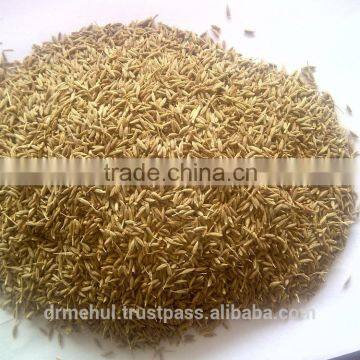 Fennel Seeds Cumin Seeds photo-6